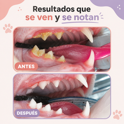 PurrClean™ Peluche Dental
